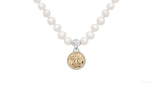 Load image into Gallery viewer, Bee Coin Necklace